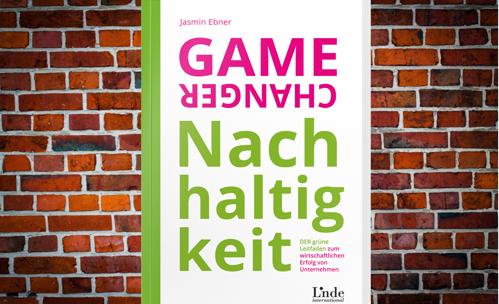 Sachbuch I Game Changer Nachhaltigkeit