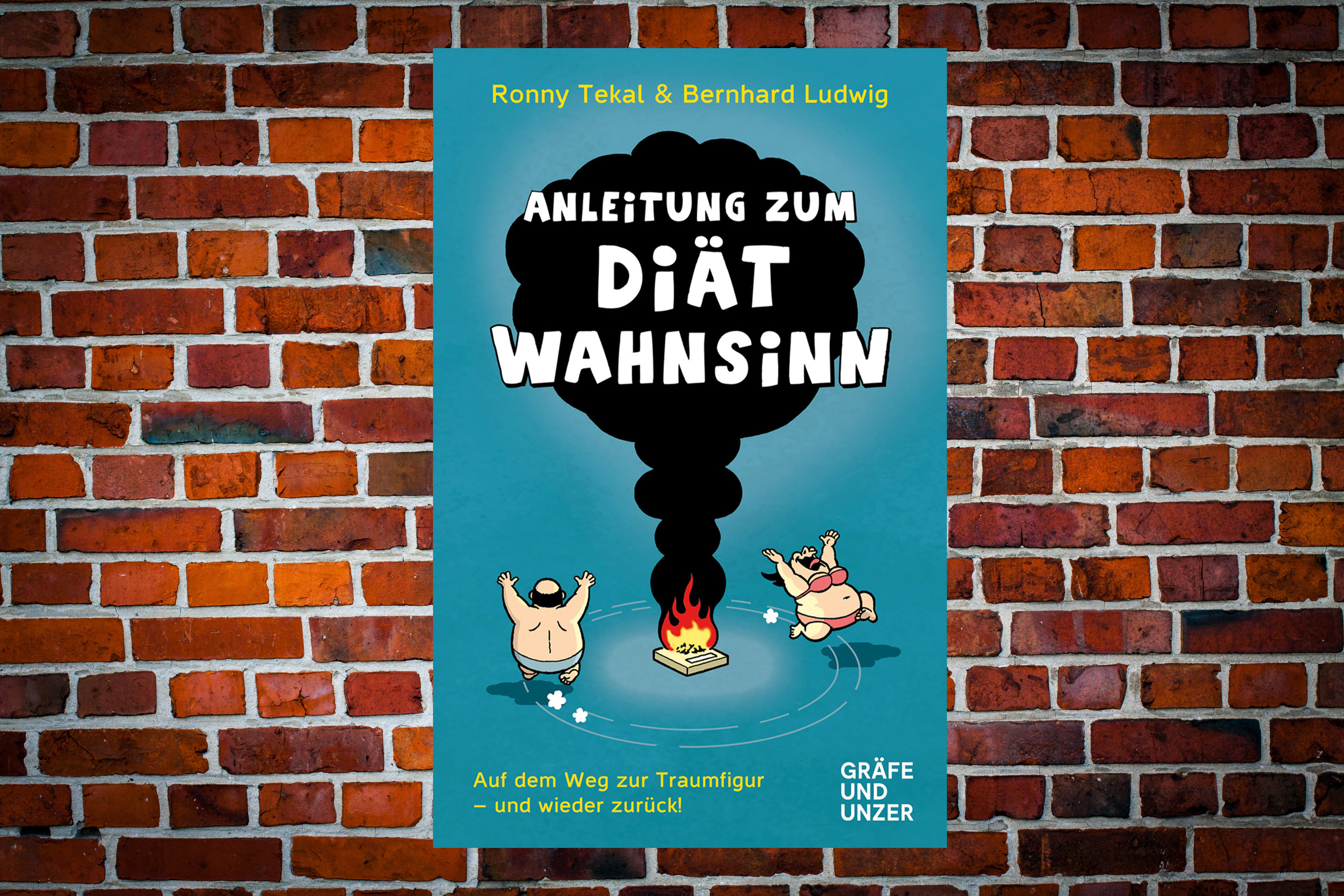 Sachbuch | Anleitung zum Diätwahnsinn